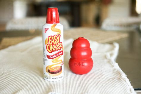 easy cheese cheese whiz on counter, kong filler Kong Fillers, Gerber Food, Stuffing Ideas, Kong Treats, Kong Stuffing, Kong Recipes, Dog Boredom, Dog Hot Spots, Cheese Whiz