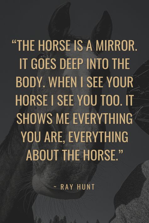 Horse Bond Quotes, Ray Hunt Quotes, Good Horse Quotes, A Girl And Her Horse Quotes, Horse Quotes Meaningful, Cute Horse Quotes, Horsemanship Quotes, Horse Poems, Horse Sketches