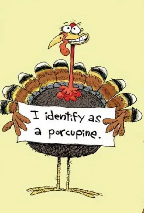 Thanksgiving Memes Hilarious, Thanksgiving Memes Humor, Thanksgiving Funny Humor, Thanksgiving Funnies, Funny Turkey Pictures, Happy Thanksgiving Memes, Funny Thanksgiving Pictures, Turkey Jokes, Funny Thanksgiving Memes