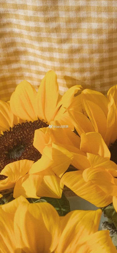 Flower Wallpaper Iphone, Aesthetic Flower Wallpaper, Aesthetic Background Wallpaper, Yellow Aesthetic Pastel, Phone Customization, Aesthetic Flower, Sunflower Wallpaper, Cute Pastel Wallpaper, Aesthetic Background