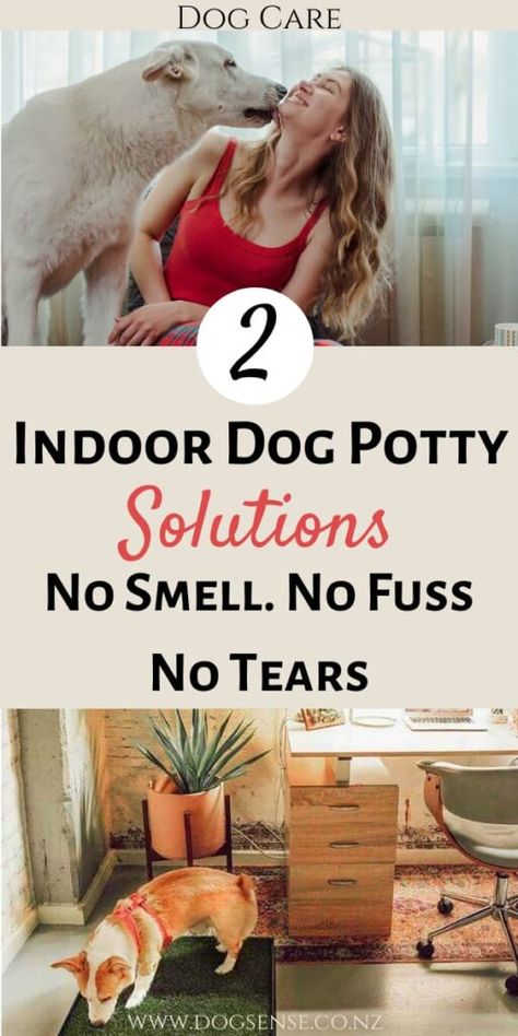 Two (Brilliant) Indoor Dog Potty Options For 2022 Indoor Dog Bathroom Ideas, Indoor Dog Potty Diy Ideas, Dog Litter Box Ideas Indoor, Puppy Area Indoor Apartment, Dog Play Area Indoor Ideas, Dog Nook Ideas Apartment, Indoor Potty Area For Dogs, Dog Apartment Ideas, Apartment Dog Ideas