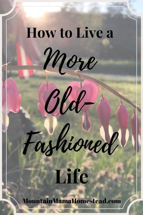 Old Fashion Remedies, Old Fashion Lifestyle, Old Fashion Farmhouse, Old Fashioned Living, Homemaking Inspiration, Ring Leader, Happy Homemaking, Human Element, A Cabin In The Woods