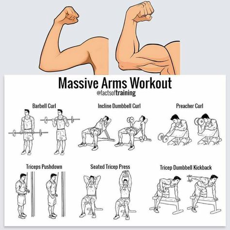 Campfire Songs, Gym Antrenmanları, Arms Workout, Arm Workouts, Gym Workout Chart, Gym Workouts For Men, Biceps And Triceps, Workout Chart, Chest Workouts