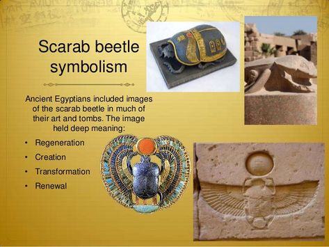 6th-egyptian-scarab-5-638 | Khepri Neteru | Flickr Scarab Meaning, Scarab Symbolism, Ancient Egypt Scarab, Ogham Tattoo, Scarab Amulet, Mythology Egyptian, Egypt Scarab, Ancient Egypt For Kids, Egyptian Scarab