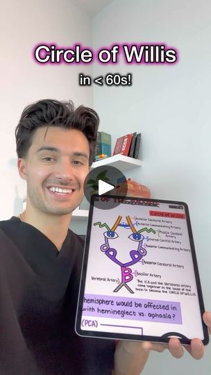 48K views · 163 reactions | Draw the Circle of Willis in under 60s! ⭕️ 

Find this + lots more in my Neurology Guide🧠📘

#medstudent #medschool #medicalschool #anatomy #anatomydrawing #usmle #usmlestep1 #neurology | Medschoolbro Circle Of Willis Anatomy, Notes Format, Circle Of Willis, Anatomy Notes, Med Student, Neurology, Med School, Anatomy Drawing, The Circle