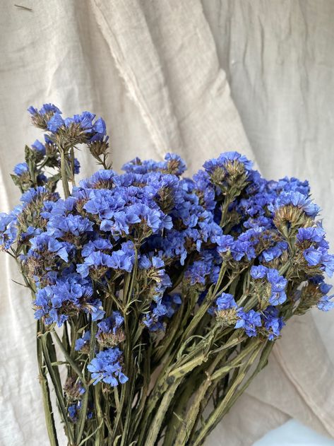 Dried Statice, Boquette Flowers, Nothing But Flowers, Flower Names, Flower Therapy, Flowers For You, Beautiful Bouquet Of Flowers, Beautiful Flower Arrangements, Bunch Of Flowers