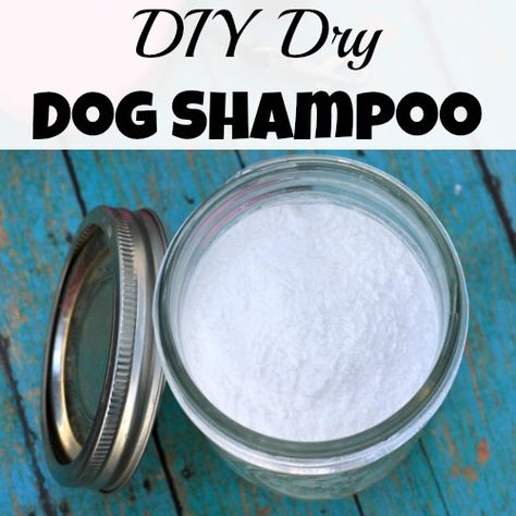 Need to freshen your dog up, but don't want to give them a full bath? Then you need to use this DIY dry dog shampoo! Dry Dog Shampoo Diy, Diy Dog Dry Shampoo, Diy Dry Shampoo For Dogs, Dog Dry Shampoo, Shampoo Homemade, Dog Smelling, Diy Dog Wash, Diy Dog Shampoo, Homemade Dog Shampoo