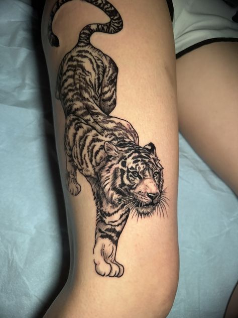 Muay Thai Tiger Tattoo, Tiger Prowling Tattoo, Tiger Peony Tattoo, Tiger And Leopard Tattoo, Large Tiger Tattoo, Panther Sleeve Tattoo, Bellisima Tattoo, Tiger Shin Tattoo, Tiger Tattoo For Women Thighs