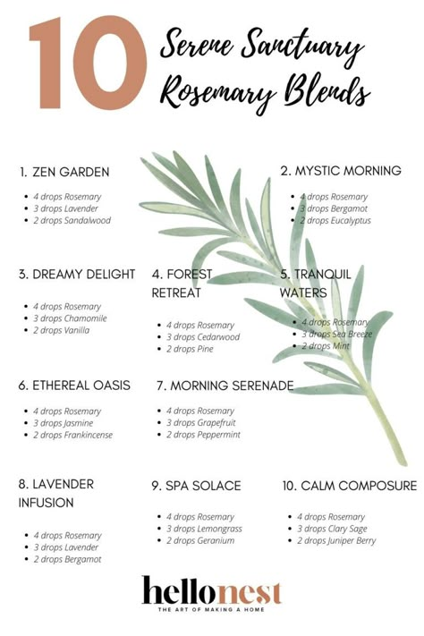 30 Rosemary Diffuser Blends To Scent Your Space | Hello Nest Rosemary Diffuser Blends, Calm And Peace, Essential Oil Perfumes Recipes, Essential Oil Combinations, Essential Oil Diffuser Blends Recipes, Candle Scents, Essential Oils Guide, Essential Oil Diffuser Recipes, Oil Diffuser Recipes