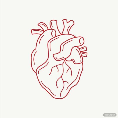 Real Heart Outline, Heart Real, Real Heart, Image Graphic, Heart Vector, Outline Illustration, Heart Outline, Heart Illustration, Heart Pin