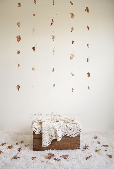 DIY Fall backdrop  www.saraeatonphotography.blogspot.com www.saraeatonphotography.com Fall Studio Setup, Fall Mini Sessions Set Up Boho, Fall Photoshoot In Studio, Fall Mini Shoot Indoor, Autumn Indoor Photoshoot, November Mini Session Ideas, Fall Photo Backdrop Ideas Indoor, Fall Photo Studio Ideas, Backdrop Diy Photography