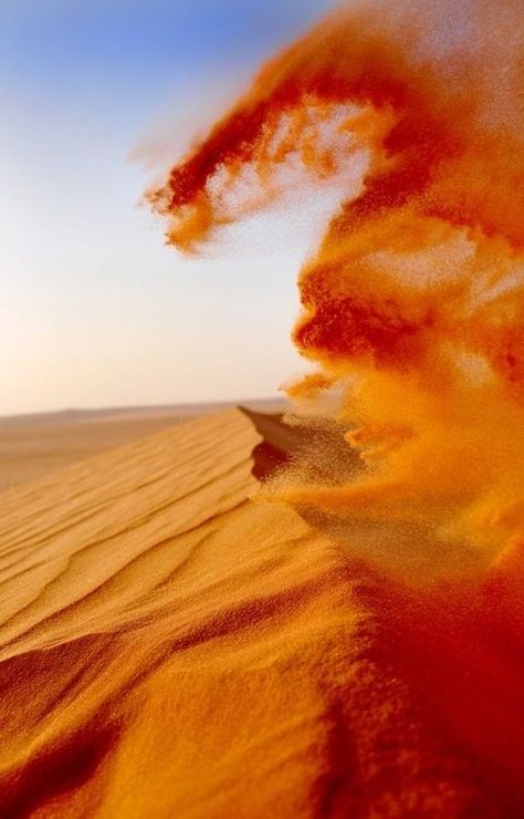 Desert Photography, Dust Storm, Morocco Travel, Orange Aesthetic, We Are The World, Warrior Cats, Nature Aesthetic, Blue Bird, Abstract Artwork