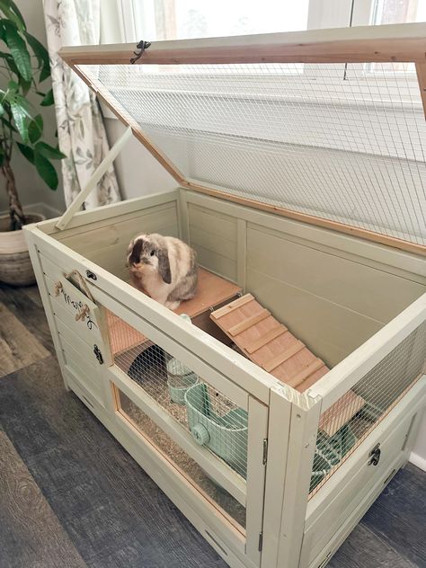 Marty the Bunny: Set Up and Routine - Peaches to Pearls Indoor Bunny House, Diy Bunny Cage, Diy Rabbit Cage, Mini Lop Bunnies, Rabbit Enclosure, Bunny Hutch, Bunny Room, Pet Bunny Rabbits, Indoor Rabbit