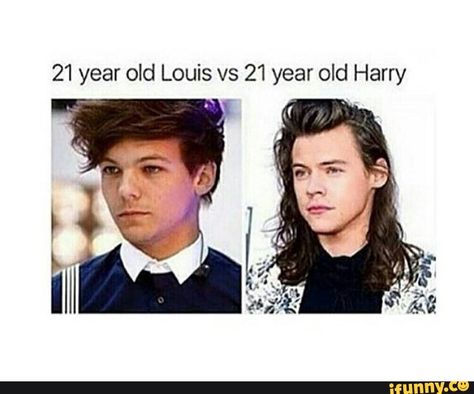 Found on iFunny Harry Styles Memes, Larry Shippers, Direction Quotes, One Direction Quotes, One Direction Photos, One Direction Harry, One Direction Humor, One Direction Memes, Louis And Harry