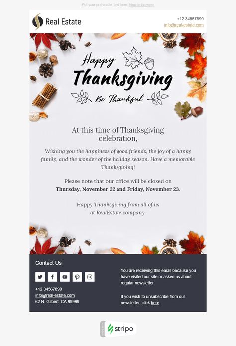 Create professional, responsive emails fast with no coding skills. Follow us on Pinterest for more inspiration and tips. 🤗 #thanksgivingday #stripoemail #emailnewsletter #emailtemplatedesign #emaildesigninspiration #emailmarketingdesign Newsletters Ideas, Business Email Template, Thanksgiving Email, Business Budget Template, Free Email Templates, Coding Skills, Holiday Emails, Purple Sage, Email Template Design