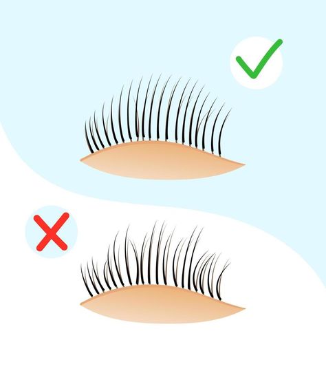 Eyelash extension. Educational poster eyelash extension. correct eyelash extension Eyelash Poster, Educational Poster, Media Icon, Education Poster, Eyelash Extension, Social Media Icons, Eyelash Extensions, Eyelashes, Clip Art