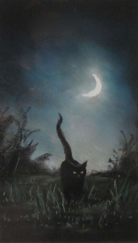 Anne Sudworth (British Contemporary): Black Cat by Moonlight, pastel signed 30cm x 17.5cm DDS - Artist's resale rights may apply to this lot - 20th Anniversary Summer Art Sale A Black Cat, A Cat, A Black, Crescent, The Sky, The Moon, Black Cat, Pastel, Moon