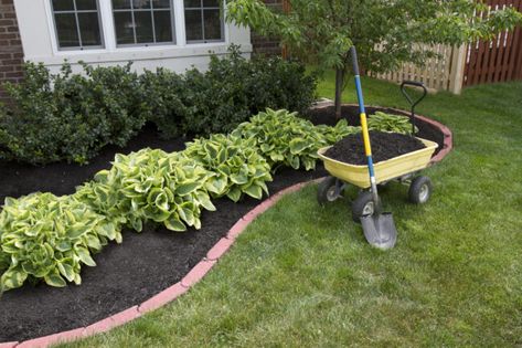 Inexpensive Landscaping, Front Yards Curb Appeal, Cheap Landscaping Ideas, Mulch Landscaping, Small Front Yard Landscaping, Cottage Shabby Chic, Low Maintenance Landscaping, Lawn Maintenance, Dry Creek