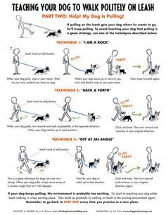 Malinois Training, Loose Leash Walking, Fu Dog, Dog Info, Dog Hacks, Dog Care Tips, Training Your Puppy, Dog Obedience, Obedience Training