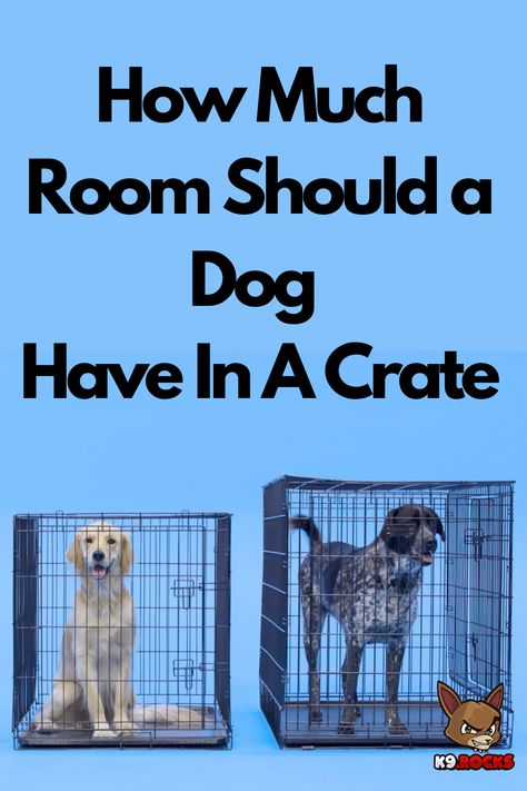 How Much Room Should a Dog Have in A Crate. Example Dog Crate Size for Small Dogs. Example Dog Crate Size for Big Dogs. Other Helpful Tips About Dog Crate Size. Is putting your dog inside create a good idea? Impact Dog Crate, Portable Dog Crate, Dog Gadgets, Puppy Crate, Large Dog Crate, Dog Essentials, Pet Gear, Inside The Box, Dog Gear