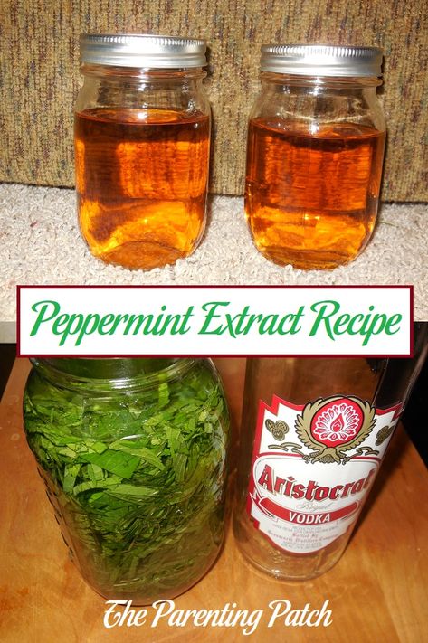 Dried Peppermint Leaves Uses, How To Make Peppermint Extract, Peppermint Leaves Uses, Peppermint Extract Recipes, Making Extracts, Herbalism Recipes, Extract Recipes, Homemade Extracts, Diy Extracts