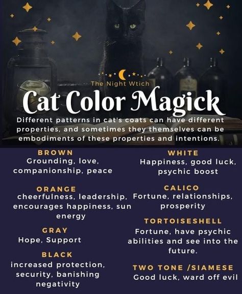 Color Magick, Spirit Animal Meaning, Witch Things, Animal Meanings, Pagan Magic, Cat Spirit, Witchy Tips, The Cauldron, Spell Books