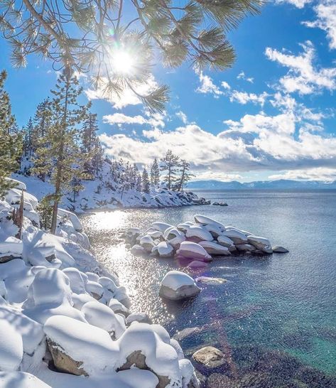 North Lake Tahoe on Instagram: “Need some inspiration to get through the rest of the week? Just think about the three S's: snow, sunshine, and the shore. Photo by…” Lake Tahoe Snow, Tahoe Winter, Lake Tahoe Winter, Lake Tahoe Vacation, Sierra Mountains, North Lake Tahoe, Winter Lake, South Lake Tahoe, Winter Scenery