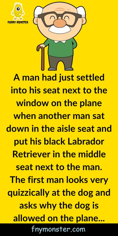 A man had just settled into his seat next to the window on the plane when another man sat down in the aisle seat and put his black Labrador Retriever in the middle seat next to the man The first man looks very quizzically at the dog and asks why the dog is allowed on Man Looks, Uncle Mike, To The Window, Funny Monsters, Black Labrador Retriever, On The Plane, Black Labrador, Another Man, Window Seat