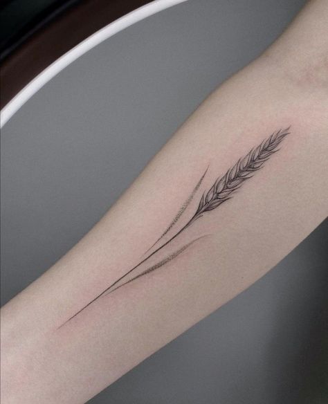 Rose And Wheat Tattoo, Wheat Tattoo Meaning, Freedom Tattoo For Women Inspiration, Wheat Tattoos For Women, Ukrainian Tattoos For Women, Western Spine Tattoos For Women, Grain Tattoo, Tattoos Feather, Wheat Tattoo