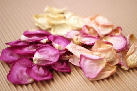 Dry rose petals add delicate beauty to your potpourri Potpourri Decor, Citrus Potpourri, Make Potpourri, Potpourri Diy, How To Make Potpourri, Rose Potpourri, Preserve Flowers, Dried Citrus, Floral Bath Salts