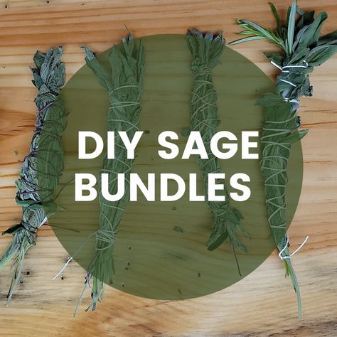 Sage Drawing Bundle, How To Make Sage Bundles Smudge Sticks, How To Make Your Own Sage Smudge Stick, Harvesting Sage How To, Dried Sage Bundles, How To Bundle Sage, Sage Wands Diy, Wrapping Sage Bundles Diy, Making Sage Bundles