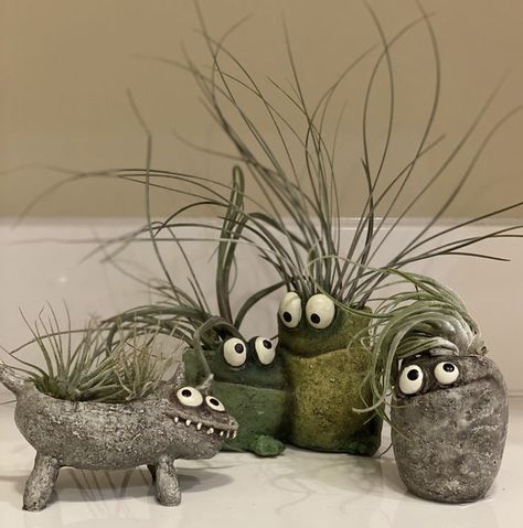 Air Plant Pottery, Air Plant Art, Clay Monster, Air Plants Diy, Air Plants Decor, Clay Monsters, Air Dry Clay Projects, Clay Crafts Air Dry, Keramik Design