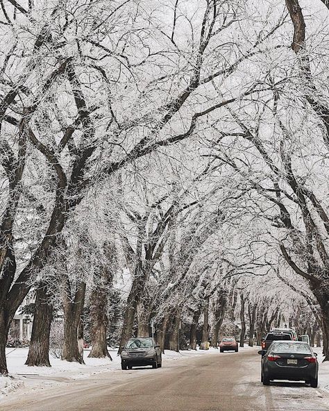 live love canada on Instagram: “Puuuure Beautyyyy 💙😍 ⬇  PHOTO OF THE DAY🌟Jan🌟27🌟2019📷  _____________________________________________ 🔘 Location: #saskatoon #saskatchewan ⭐…” Blue Tattoo, Live Love, Perfect Place, Instagram