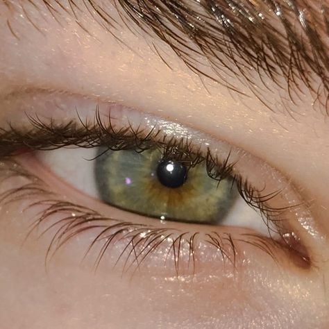 Green Eye Guy Aesthetic, Light Green Eyes Men, Green And Blue Eyes Aesthetic, Green Eyes Men Aesthetic, Types Of Green Eyes, Green Eyes Aesthetic Male, Green Eyes Guy, Green Eyes Men, Male Green Eyes