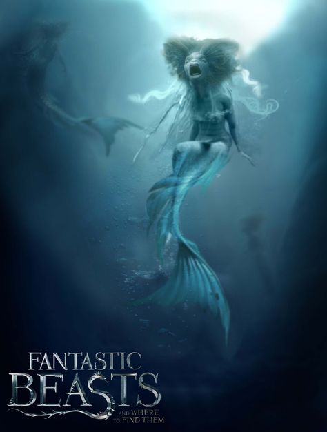 Harry Potter / Fantastic Beasts and where to find them Mermaids. Mermaid Fanart, Mermaid Mythology, Harry Potter Mermaid, Creature Movie, Evil Mermaids, Harry Otter, Harry Potter Print, Harry Potter Games, Mythical Monsters