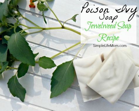 Poison Ivy Soap Recipe with Jewel Weed - a natural remedy for posion ivy, oak, and sumac. Helps stop it from spreading or breaking out in the first place How To Make Poison, Camphor Essential Oil, Lye Soap, Poison Oak, Cold Process Soap Recipes, Ivy Oak, Skin Natural Remedies, Soap Recipe, Natural Remedy