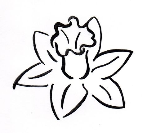 Daffodil Tattoo by ~Ksaurus on deviantART Daffodil Outline, Welsh Tattoo, Daffodil Tattoo, Black Sketch, Country Tattoos, Flower Outline, Sketch Tattoo, Flower Art Drawing, Floral Tattoo Design