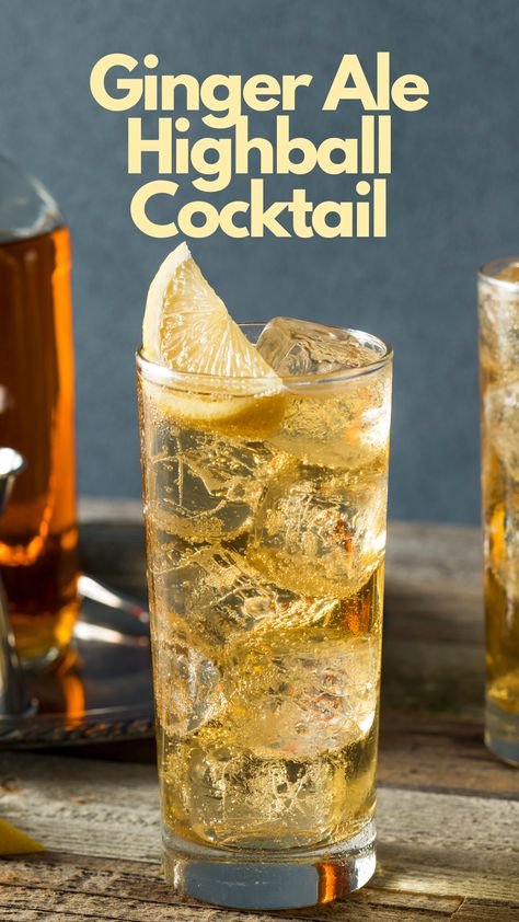 Ginger Ale Highball Cocktail Whiskey Highball, Whiskey And Ginger Ale, Ginger Ale Cocktail, Highball Cocktail, Cocktail Recipes Whiskey, Easy Summer Cocktails, Sparkling Cocktail, Refreshing Summer Cocktails, Whiskey Ginger