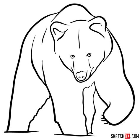 How to draw a grizzly bear (front view) Bear Drawing Simple, Black Bear Drawing, Grizzly Bear Drawing, Wild Drawing, Bear Face Drawing, Bear Outline, Side View Drawing, Bear Sketch, Tree Drawings Pencil