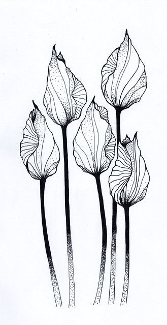 Black Flowers Drawing, Cute Designs To Draw Pattern, Modern Design Drawing, Best Doodle Art, Zen Art Inspiration, Black Line Drawing, Abstract Line Drawing, Black And White Drawings, Zentangle Artwork