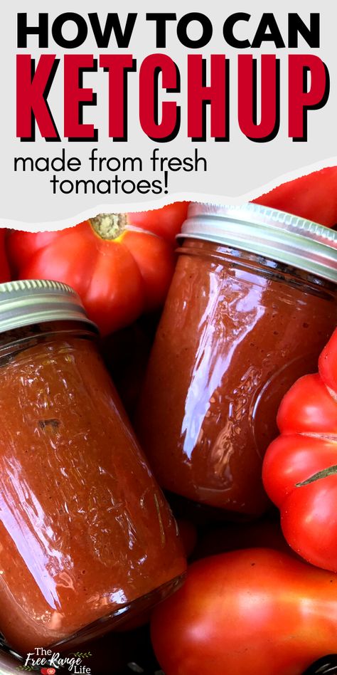 Canning Homemade Ketchup With Fresh Tomatoes, Tomato Water Bath Canning Recipes, How To Make Tomato Juice From Fresh Tomatoes, Canning Tomatoes Recipes Ideas, Ideas For Fresh Tomatoes, Diy Ketchup Easy, Tomatoe Canning Recipe, Water Bath Canning Tomato Sauce, Canning With Tomatoes