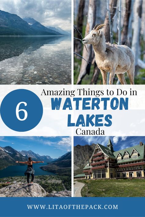 Watertown Lakes National Park, Waterton Lakes National Park Canada, Waterton Park, Waterton National Park, Wyoming Vacation, Canadian Road Trip, Waterton Lakes National Park, Canada National Parks, Row Boats