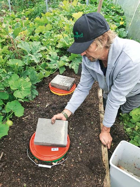 DIY: Build an underground worm farm suitable for a cold climate Worm Farming Diy, Worm Composting Bin Diy, Worm Farm Diy How To Make A, Vermicomposting Worm Farm, Worm Tower, Worm Farm Diy, Jug Fishing, Worm Farms, Worm Composting Bin