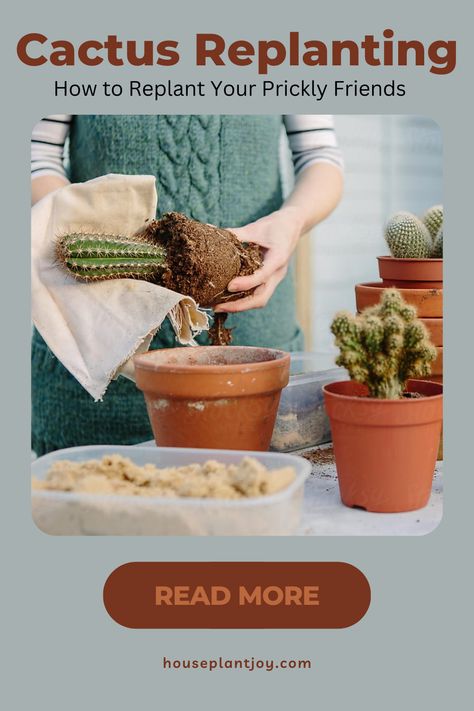 Discover the art of cactus replanting and ensure your prickly friends thrive in their new homes! 🌵✨ #CactusCare #GardeningTips #PlantLovers Cactus Care, Health And Vitality, Replant, Gardening Tips, Cactus, New Homes, Health, Plants, Art