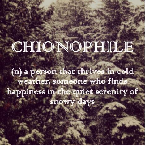 Chionophile - love the cold weather Cold Weather Quotes, Spine Tattoo Ideas, Cider House, 100 Tattoo, Weather Quotes, Unique Words Definitions, Uncommon Words, Tattoo Ideas For Men, Fancy Words