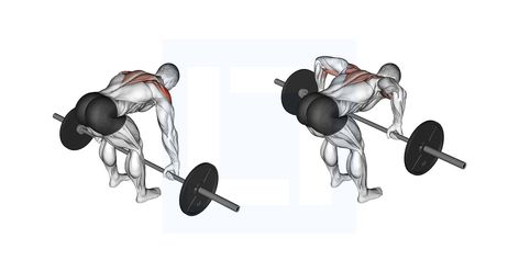 Rear Delt Row, Barbell Workouts, Upper Back Muscles, Six Pack Abs Workout, Face Pulls, Latissimus Dorsi, Rear Delt, Barbell Workout, Six Pack Abs