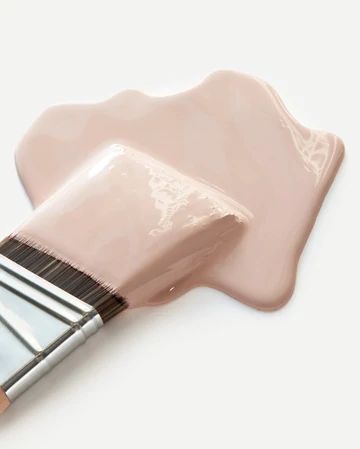 Cute Wall Painting, Pink Paint Color, Blush Pink Paint, Trim Paint Color, Meet Cute, Pink Rooms, Pink Paint Colors, Color Quiz, Paint Trends