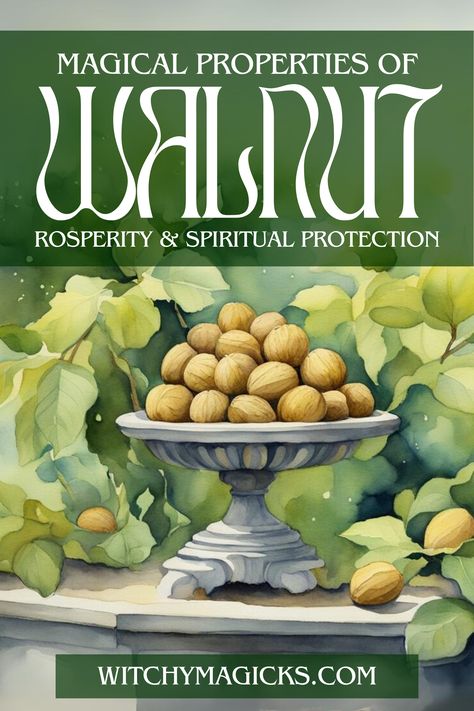 Explore the mystical properties of walnuts! Known for bringing prosperity and spiritual protection, walnuts are a powerful symbol in magic and folklore. Whether used in rituals, charms, or simply enjoyed as a snack, walnuts can enhance your spiritual journey and attract abundance. Embrace walnuts for prosperity and divine shielding.  #WalnutMagic #Prosperity #SpiritualProtection #MagicalProperties #Abundance #Folklore #SpiritualJourney #Walnuts #HerbalMagic #Herbs #Walnut #WitchyMagicks Walnut Magical Properties, Black Walnut Tree, Walnut Pesto, Brain Boost, Attract Abundance, Herbal Magic, Mystical World, Spiritual Protection, Nutritious Snacks