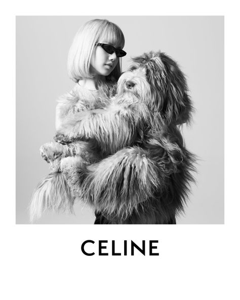 Hedi Slimane Photography, Stud Dog, Blonde Bob Hairstyles, Dog Photoshoot, Hedi Slimane, Dog Wear, Lalisa Manobal, Lalisa Manoban, Strike A Pose