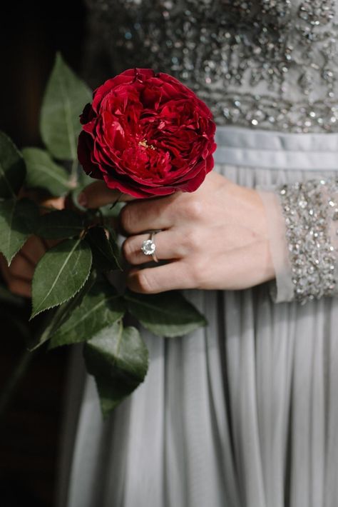 David Austin Wedding, Love Rose Flower, Wedding Roses, Couple Hands, Wedding Couple Poses Photography, Wedding Couple Poses, David Austin, The David, Beautiful Bouquet Of Flowers